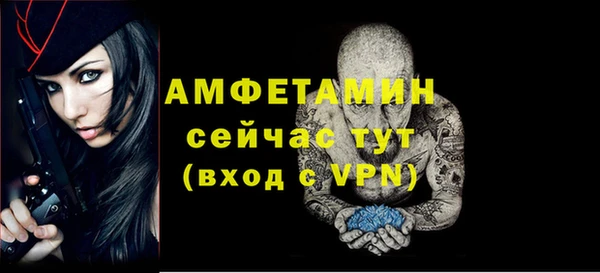 шишки Богородицк