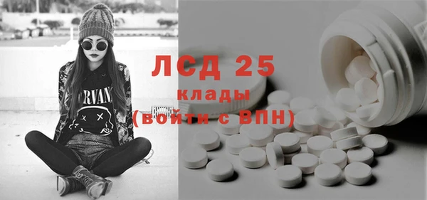 шишки Богородицк