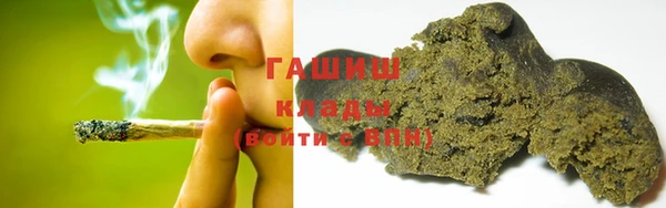 шишки Богородицк