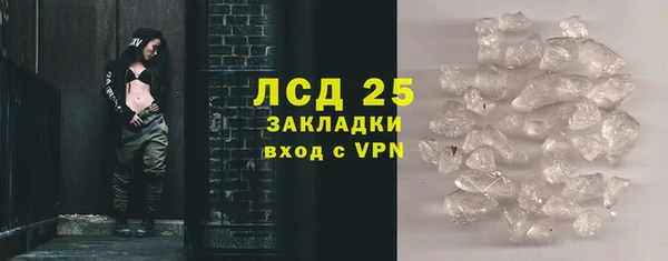 шишки Богородицк