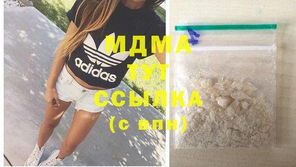 шишки Богородицк