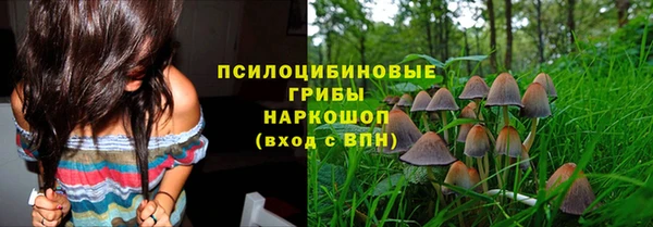 эйфоретик Богородск