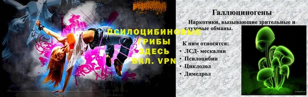 эйфоретик Богородск