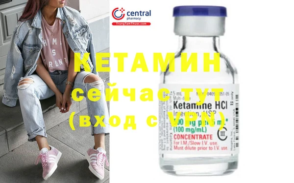 шишки Богородицк