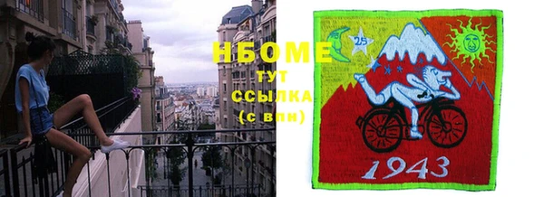 шишки Богородицк