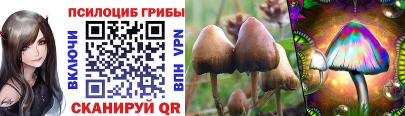 как найти закладки  Тамбов  Псилоцибиновые грибы мицелий 