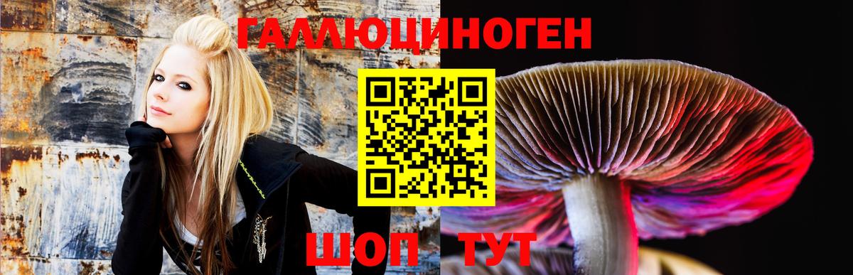 где продают   Вход с VPN  Псилоцибиновые грибы Cubensis  Тамбов  Галлюциногенные грибы Cubensis 