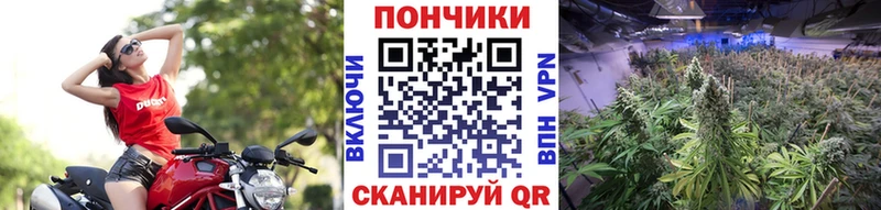 Шишки марихуана AK-47  Тамбов 